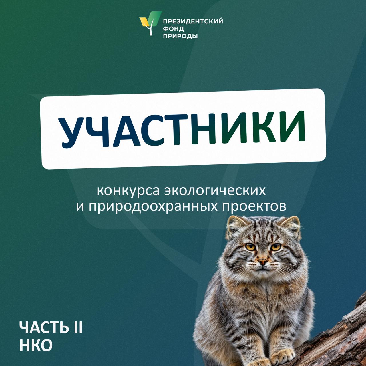 Стартовал конкурс на предоставление грантов Президента Российской Федерации для реализации экологических и природоохранных проектов..