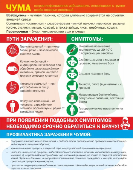 Внимание!. Внимание!.